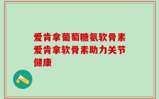 爱肯拿葡萄糖氨软骨素爱肯拿软骨素助力关节健康