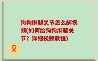 狗狗绑腿关节怎么绑视频(如何给狗狗绑腿关节？详细视频教程)