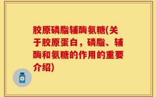 胶原磷脂辅酶氨糖(关于胶原蛋白，磷脂、辅酶和氨糖的作用的重要介绍)