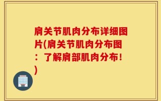 肩关节肌肉分布详细图片(肩关节肌肉分布图：了解肩部肌肉分布！)