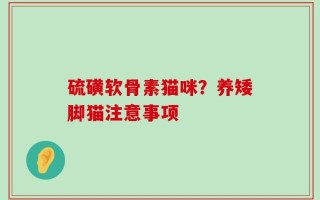 硫磺软骨素猫咪？养矮脚猫注意事项