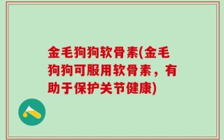 金毛狗狗软骨素(金毛狗狗可服用软骨素，有助于保护关节健康)