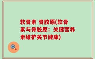 软骨素 骨胶原(软骨素与骨胶原：关键营养素维护关节健康)