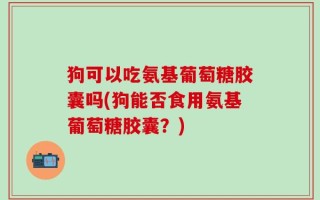 狗可以吃氨基葡萄糖胶囊吗(狗能否食用氨基葡萄糖胶囊？)