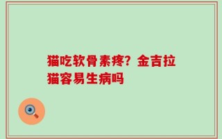 猫吃软骨素疼？金吉拉猫容易生病吗