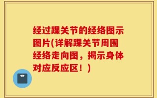 经过踝关节的经络图示图片(详解踝关节周围经络走向图，揭示身体对应反应区！)