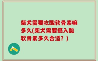 柴犬需要吃酸软骨素嘛多久(柴犬需要摄入酸软骨素多久合适？)