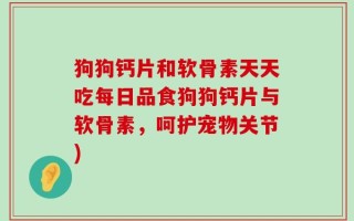 狗狗钙片和软骨素天天吃每日品食狗狗钙片与软骨素，呵护宠物关节)