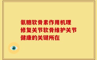 氨糖软骨素作用机理 修复关节软骨维护关节健康的关键所在