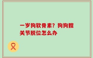 一岁狗软骨素？狗狗髋关节脱位怎么办