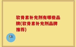软骨素补充剂有哪些品牌(软骨素补充剂品牌推荐)