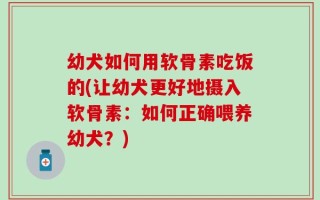 幼犬如何用软骨素吃饭的(让幼犬更好地摄入软骨素：如何正确喂养幼犬？)