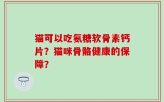 猫可以吃氨糖软骨素钙片？猫咪骨骼健康的保障？