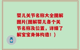 婴儿关节名称大全图解图片(图解婴儿各个关节名称及位置，详细了解宝宝身体构造！)