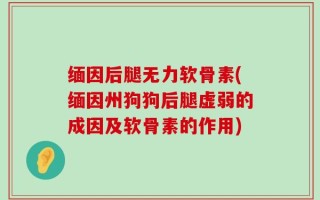 缅因后腿无力软骨素(缅因州狗狗后腿虚弱的成因及软骨素的作用)