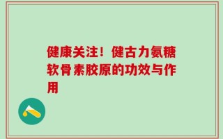 健康关注！健古力氨糖软骨素胶原的功效与作用