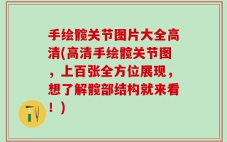 手绘髋关节图片大全高清(高清手绘髋关节图，上百张全方位展现，想了解髋部结构就来看！)