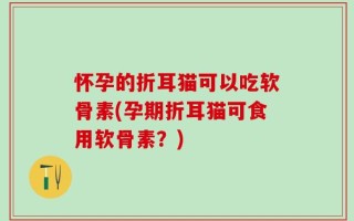 怀孕的折耳猫可以吃软骨素(孕期折耳猫可食用软骨素？)