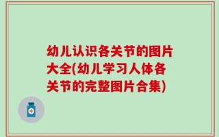幼儿认识各关节的图片大全(幼儿学习人体各关节的完整图片合集)