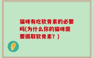猫咪有吃软骨素的必要吗(为什么你的猫咪需要摄取软骨素？)