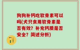 狗狗补钙吃软骨素可以吗(犬只食用软骨素是否有效？补充钙质是否安全？简述分析)