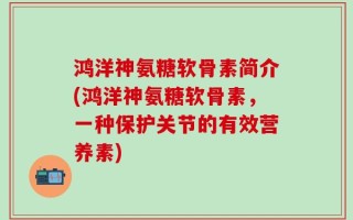 鸿洋神氨糖软骨素简介(鸿洋神氨糖软骨素，一种保护关节的有效营养素)