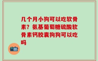 几个月小狗可以吃软骨素？氨基葡萄糖硫酸软骨素钙胶囊狗狗可以吃吗