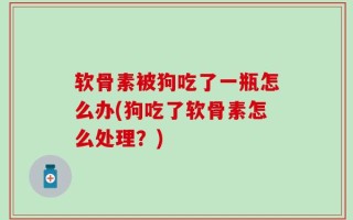 软骨素被狗吃了一瓶怎么办(狗吃了软骨素怎么处理？)