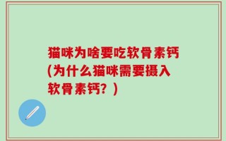 猫咪为啥要吃软骨素钙(为什么猫咪需要摄入软骨素钙？)