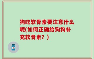 狗吃软骨素要注意什么呢(如何正确给狗狗补充软骨素？)