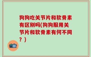 狗狗吃关节片和软骨素有区别吗(狗狗服用关节片和软骨素有何不同？)
