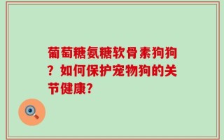 葡萄糖氨糖软骨素狗狗？如何保护宠物狗的关节健康？
