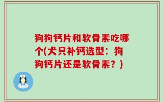 狗狗钙片和软骨素吃哪个(犬只补钙选型：狗狗钙片还是软骨素？)