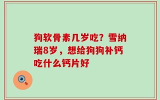 狗软骨素几岁吃？雪纳瑞8岁，想给狗狗补钙吃什么钙片好