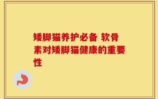 矮脚猫养护必备 软骨素对矮脚猫健康的重要性