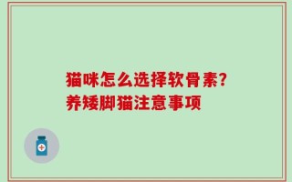 猫咪怎么选择软骨素？养矮脚猫注意事项