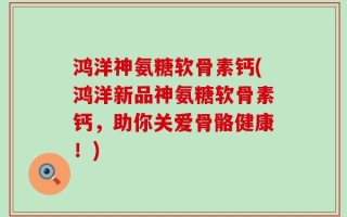鸿洋神氨糖软骨素钙(鸿洋新品神氨糖软骨素钙，助你关爱骨骼健康！)