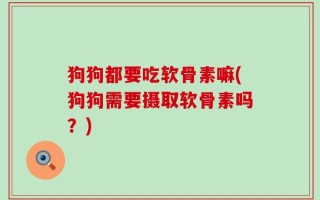 狗狗都要吃软骨素嘛(狗狗需要摄取软骨素吗？)
