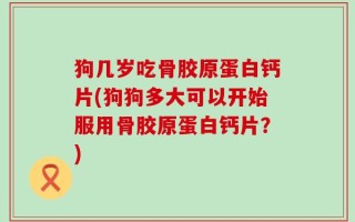 狗几岁吃骨胶原蛋白钙片(狗狗多大可以开始服用骨胶原蛋白钙片？)