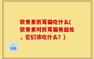 软骨素折耳猫吃什么(软骨素对折耳猫有益处，它们该吃什么？)
