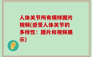 人体关节所有模样图片视频(感受人体关节的多样性：图片和视频展示)