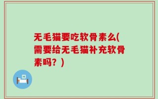 无毛猫要吃软骨素么(需要给无毛猫补充软骨素吗？)