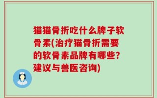 猫猫骨折吃什么牌子软骨素(治疗猫骨折需要的软骨素品牌有哪些？建议与兽医咨询)