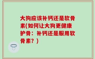 大狗应该补钙还是软骨素(如何让大狗更健康护骨：补钙还是服用软骨素？)