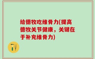 给德牧吃维骨力(提高德牧关节健康，关键在于补充维骨力)