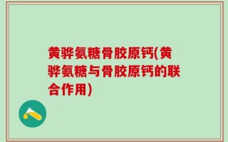 黄骅氨糖骨胶原钙(黄骅氨糖与骨胶原钙的联合作用)