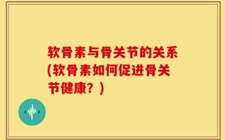 软骨素与骨关节的关系(软骨素如何促进骨关节健康？)
