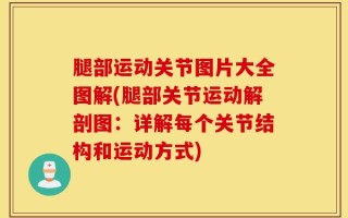 腿部运动关节图片大全图解(腿部关节运动解剖图：详解每个关节结构和运动方式)