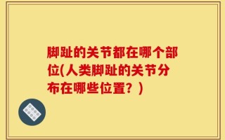 脚趾的关节都在哪个部位(人类脚趾的关节分布在哪些位置？)