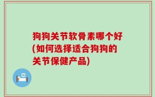 狗狗关节软骨素哪个好(如何选择适合狗狗的关节保健产品)